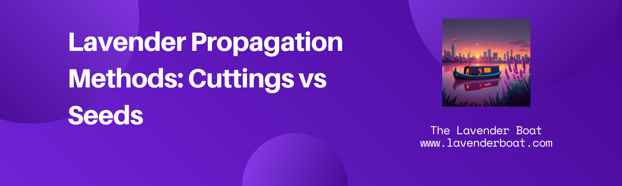 Lavender Propagation Methods Cuttings vs Seeds