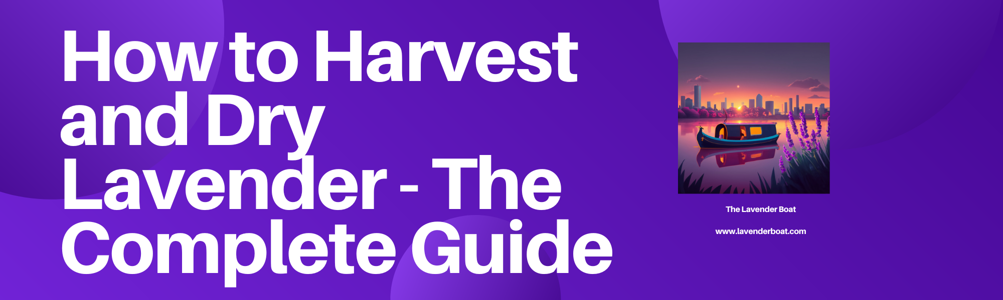 How to Harvest and Dry Lavender - The Complete Guide