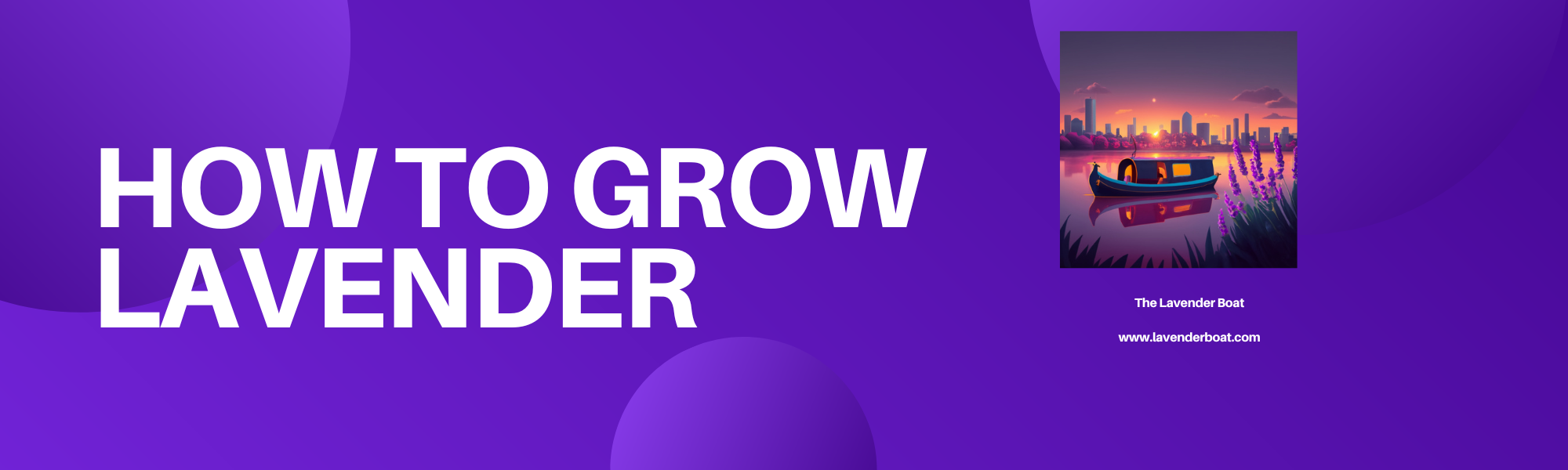 HOW TO GROW LAVENDER written on a purple background with the LAVENDER BOAT logo alongside